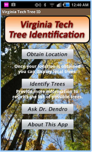 VT Tree ID pic